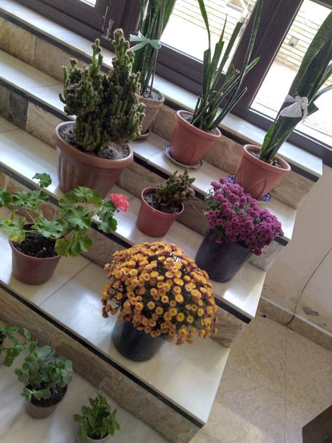 Uzbegim Family Guest House بخارى المظهر الخارجي الصورة